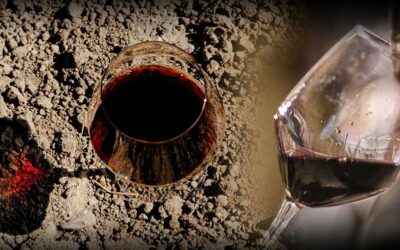 L’Arte del Vino: il Pinot Nero eroico di Vigna di More / Degustazione