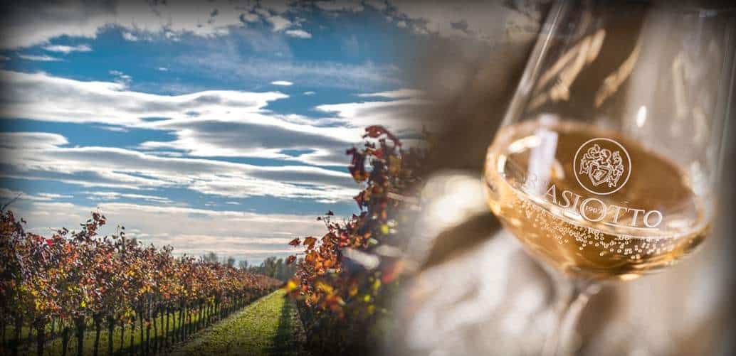 L’Arte del Vino: la spumeggiante eccellenza del Prosecco / Degustazione